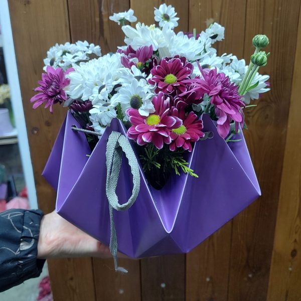 باکس گل داوودی