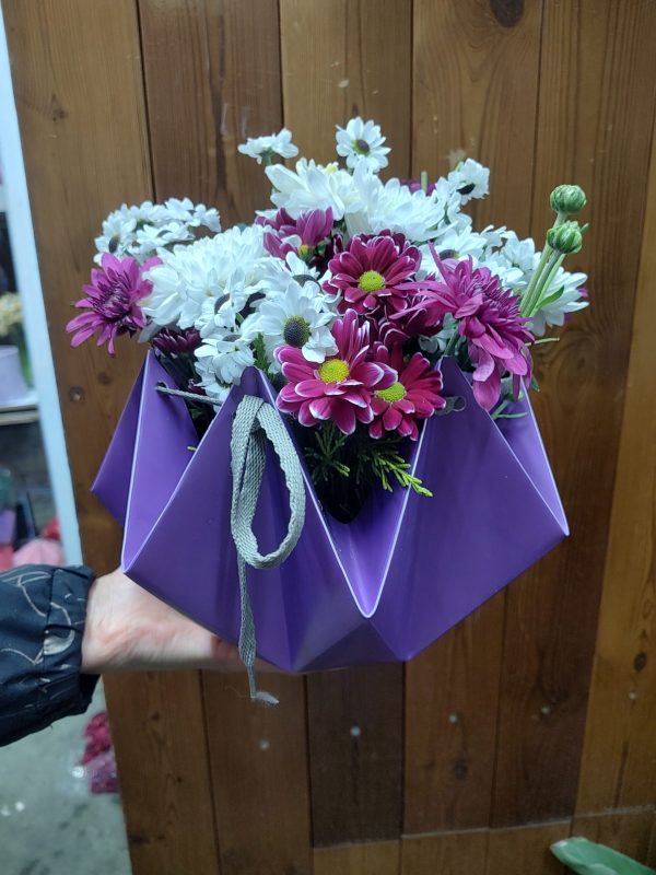 باکس گل داوودی