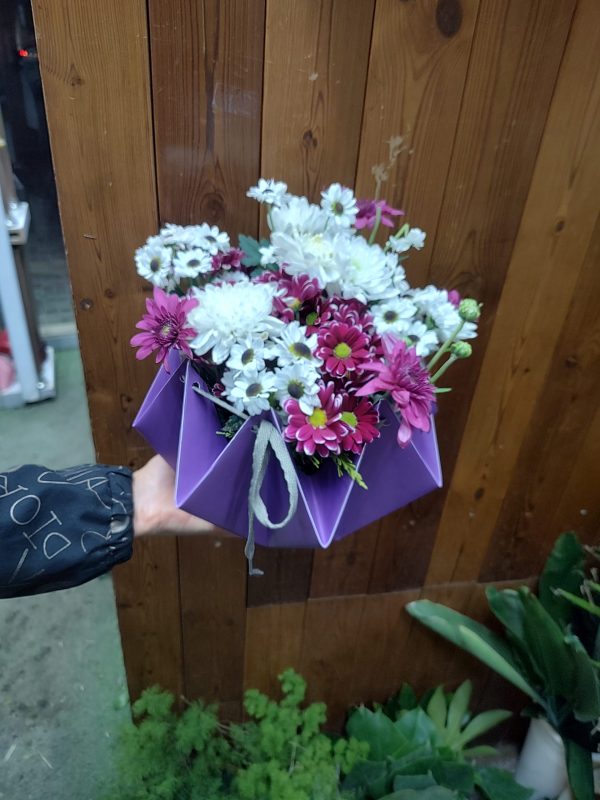 باکس گل داوودی