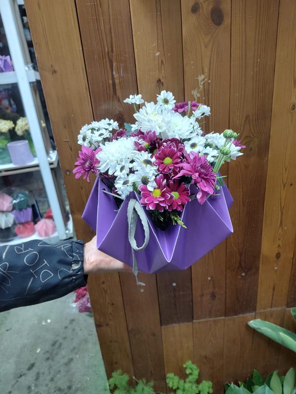 باکس گل داوودی