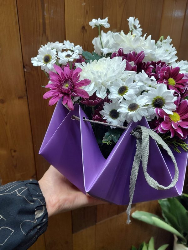 باکس گل داوودی