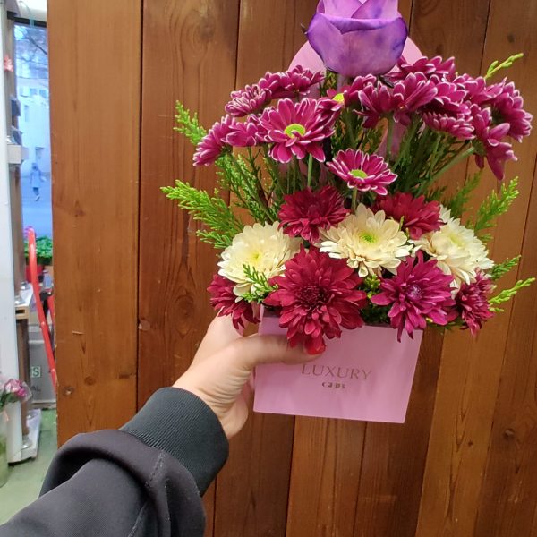 مینی باکس بهاری