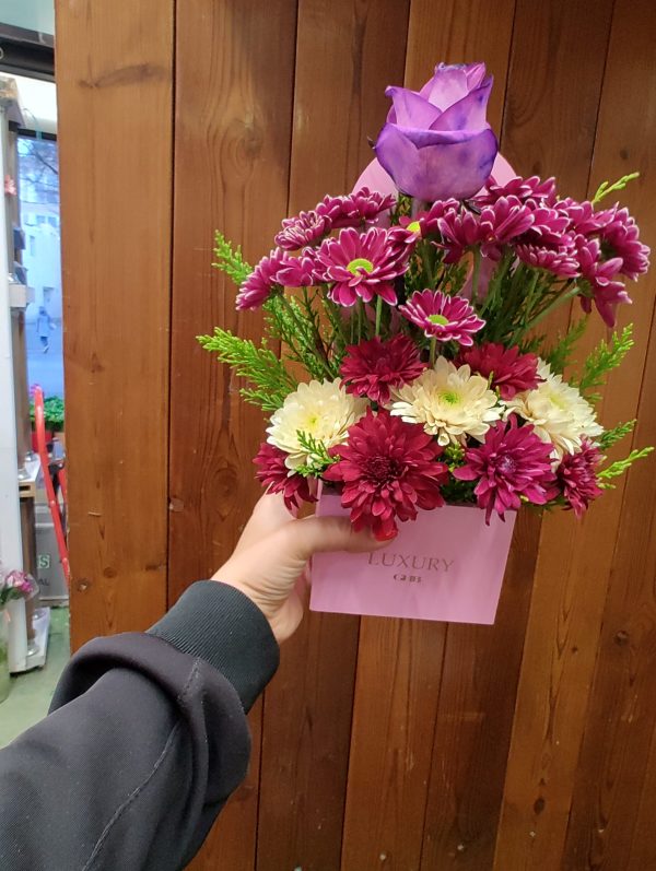 مینی باکس بهاری