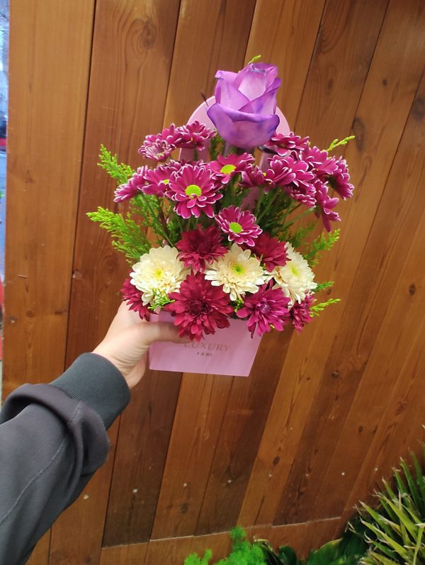 مینی باکس بهاری