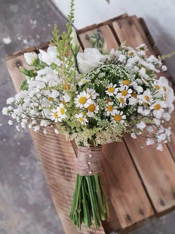 گل بابونه
