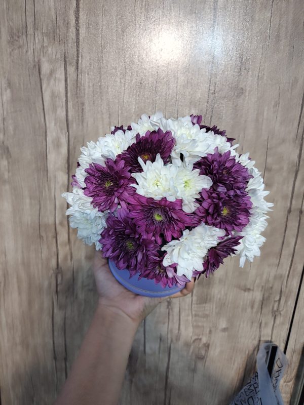 باکس گل گرد کوچک کرزنتیا - تصویر 3