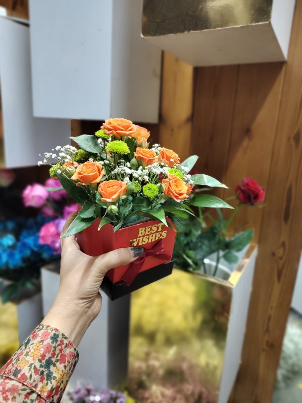 باکس فانتزی