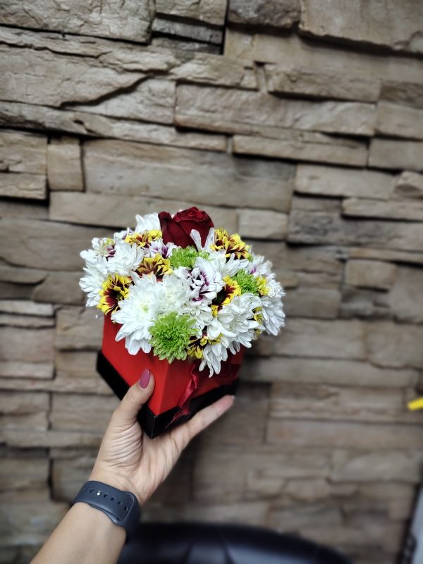 مینی باکس