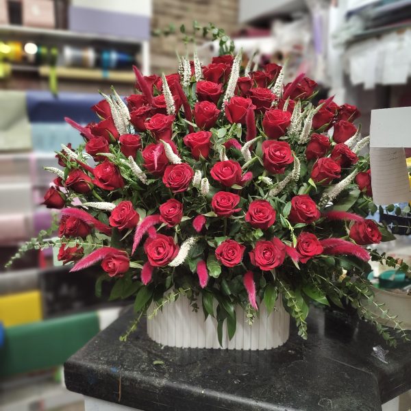 رز قرمز