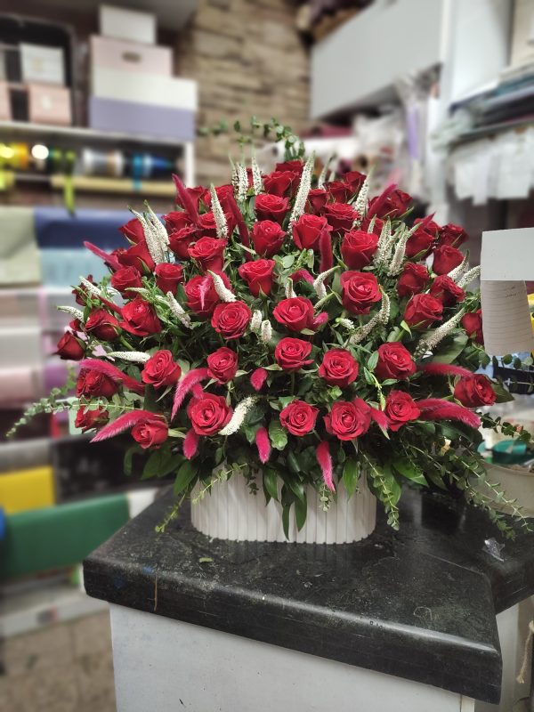 رز قرمز