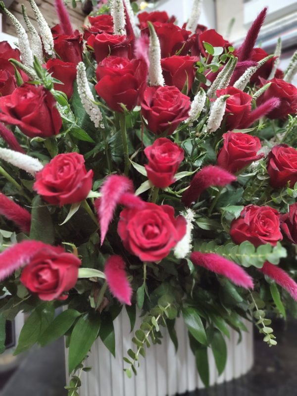 رز قرمز