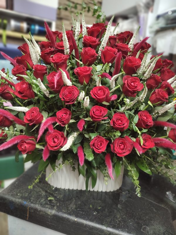 رز قرمز